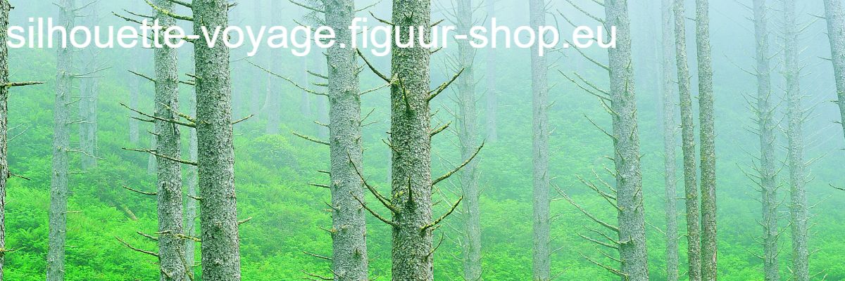 silhouette-voyage.figuur-shop.eu